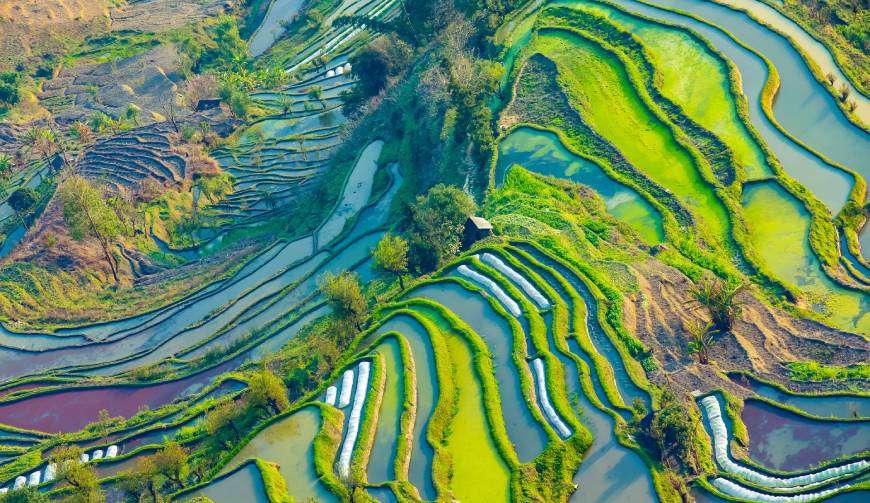 古丈县广告片拍摄公司数字技术驱动的广告革命